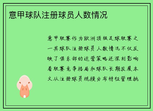 意甲球队注册球员人数情况