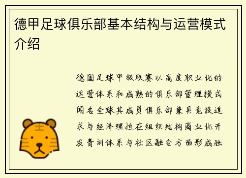德甲足球俱乐部基本结构与运营模式介绍